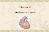 Chapter 10 The heart as a pump