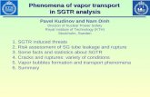 Phenomena of vapor transport  in SGTR analysis