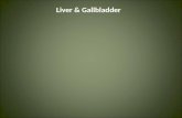 Liver & Gallbladder