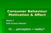 Consumer  Behaviour  Motivation & Affect
