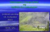 Naturtyper i Norge (NiN)  og rødliste  for naturtyper