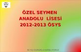 ÖZEL SEYMEN  ANADOLU  LİSESİ 2012-2013 ÖSYS