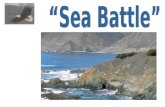 “Sea Battle”