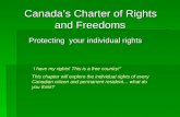 Protecting  your individual rights