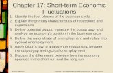 Chapter 17: Short-term Economic Fluctuations
