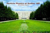 Particle Physics at Budker INP  Novosibirsk, Russia