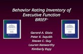 Behavior Rating Inventory of Executive Function BRIEF TM
