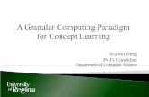 A Granular Computing Paradigm for Concept Learning