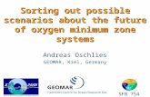 Sorting out possible scenarios about the future of oxygen minimum zone systems