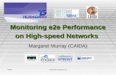 Monitoring e2e Performance on High-speed Networks