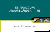 EE GUAICURU ANAURILÂNDIA - MS