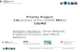 Priority Project  CAL ibration of the COSMO  MO del CALMO