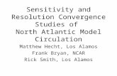 Sensitivity and Resolution Convergence Studies of  North Atlantic Model Circulation