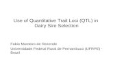 Use of Quantitative Trait Loci (QTL) in  Dairy Sire Selection