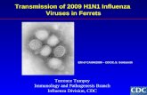 Transmission of 2009 H1N1 Influenza  Viruses in Ferrets