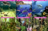 540      Milieu marin au paléozoïque          250