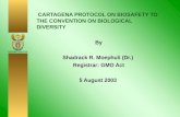 CARTAGENA PROTOCOL ON BIOSAFETY TO THE CONVENTION ON BIOLOGICAL DIVERSITY