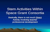 Stem Activities Within Space Grant Consortia
