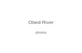 Obed River