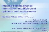 Robert S. Webb Climate Analysis Branch NOAA  ESRL Physical Sciences Division