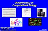 Bioinformatics &  Computational Biology