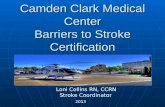 Camden Clark Medical Center Barriers to Stroke Certification