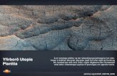 Yfirborð Utopia Planitia