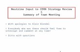 Neutrino Input to CERN  Strategy Review & Summary  of  Town  Meeting