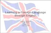 Learning a Foreign Language through English