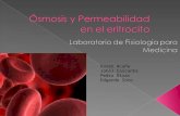 Ósmosis y Permeabilidad en el eritrocito