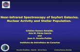 Near-Infrared Spectroscopy of Seyfert Galaxies. Nuclear Activity and Stellar Population.