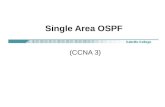 Single Area OSPF