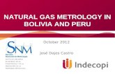 Natural gas metrology in Bolivia and Peru