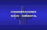 CONSIDERACIONES  SOCIO - AMBIENTAL