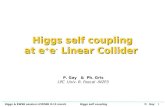 Higgs self coupling  at e + e -  Linear Collider