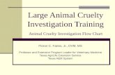 Large Animal Cruelty Investigation Training Animal Cruelty Investigation Flow Chart