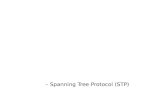 – Spanning Tree Protocol (STP)