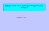 NPDgamma  Liquid Hydrogen Target Safety  Review