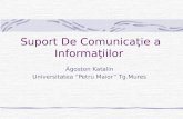 Suport De Comunicaţie a Informaţiilor