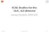 ECAL Studies for the  CLIC_ILD detector