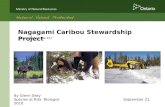 Nagagami Caribou Stewardship Project