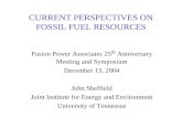 CURRENT PERSPECTIVES ON FOSSIL FUEL RESOURCES