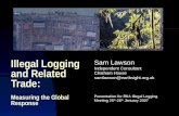 Illegal Logging and Related Trade:  Measuring the Global Response