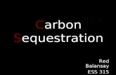 C arbon S equestration