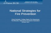 National Strategies for  Fire Prevention