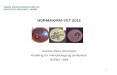 NORM/NORM-VET 2012 Gunnar Skov Simonsen Avdeling for mikrobiologi og smittevern NORM, UNN
