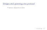 Bridges and spanning tree protocol