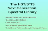 The HST/STIS Next Generation  Spectral Library