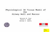 Physiological 3D Tissue Model of the  Airway Wall and Mucosa Melanie M. Choe Alice A. Tomei