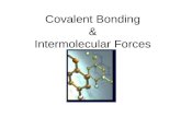 Covalent Bonding & Intermolecular Forces